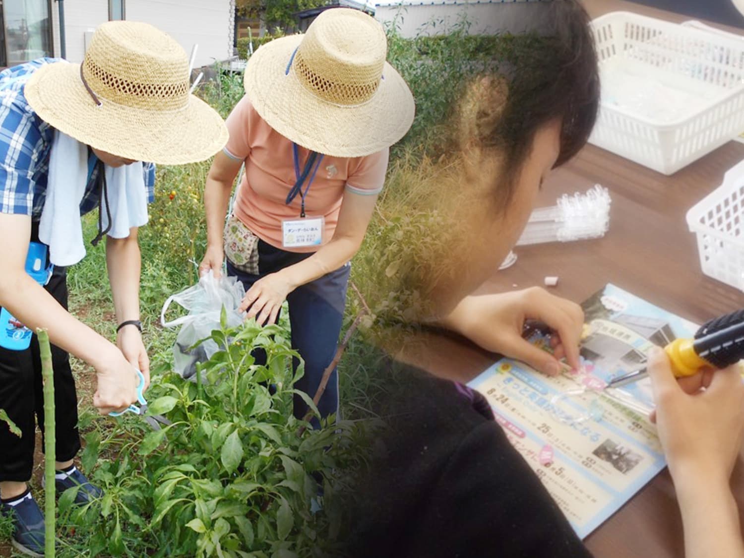 あっと　ホーム　きりん荘