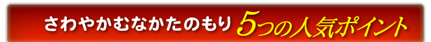 グループホーム　さわやかむなかたのもり