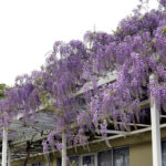 上松ホーム｜長野市長野県長野市上松２丁目２０－８の地域密着型介護付き有料老人ホームの写真