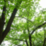 特別養護老人ホーム　なごやかハウス滝ノ水｜名古屋市緑区名古屋市緑区滝ノ水三丁目２１０３番地の介護付き有料老人ホームの写真