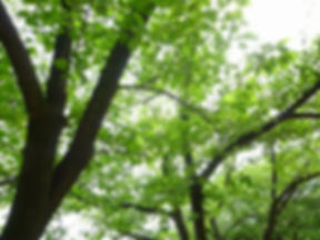 特別養護老人ホーム　なごやかハウス滝ノ水