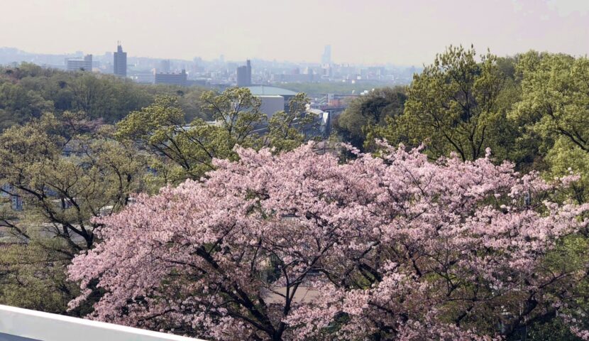 有料老人ホーム　新生館