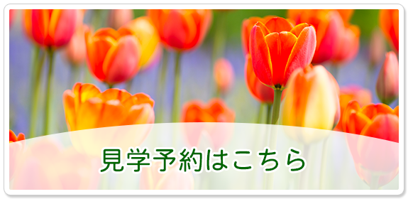 エルダーハウス上前津
