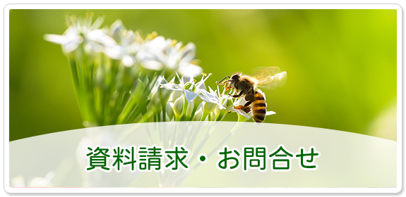 エルダーハウス上前津