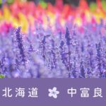 中富良野町特別養護老人ホームこぶし苑｜中富良野町空知郡中富良野町東町３番８号の介護付き有料老人ホームの写真