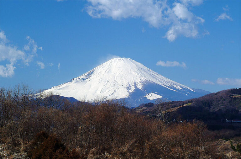 介護老人福祉施設 中井富士白苑