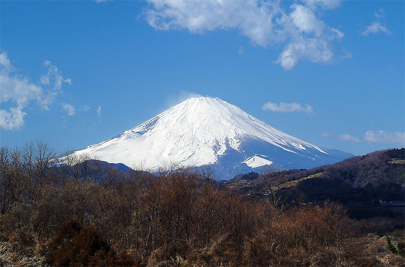 介護老人福祉施設　中井富士白苑