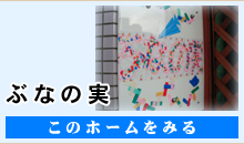 とちの実