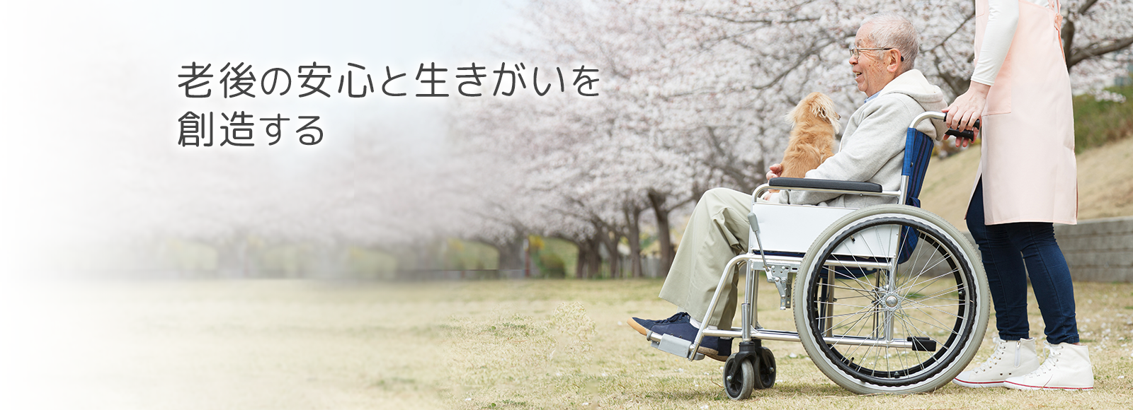 大泉学園ふれあいの里