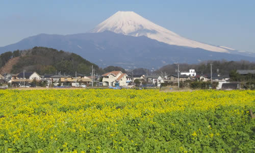 グループホーム 和みの家