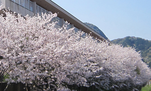 グループホーム 和みの家