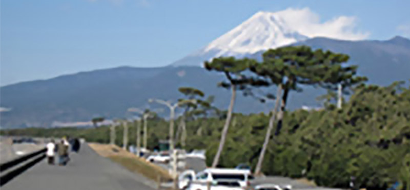 オーチャード沼津