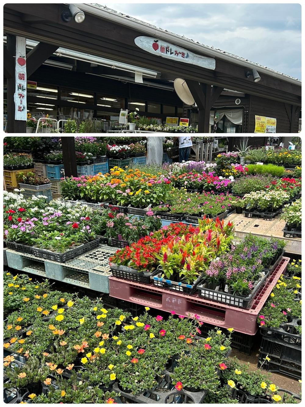 ココファンメゾン小田原