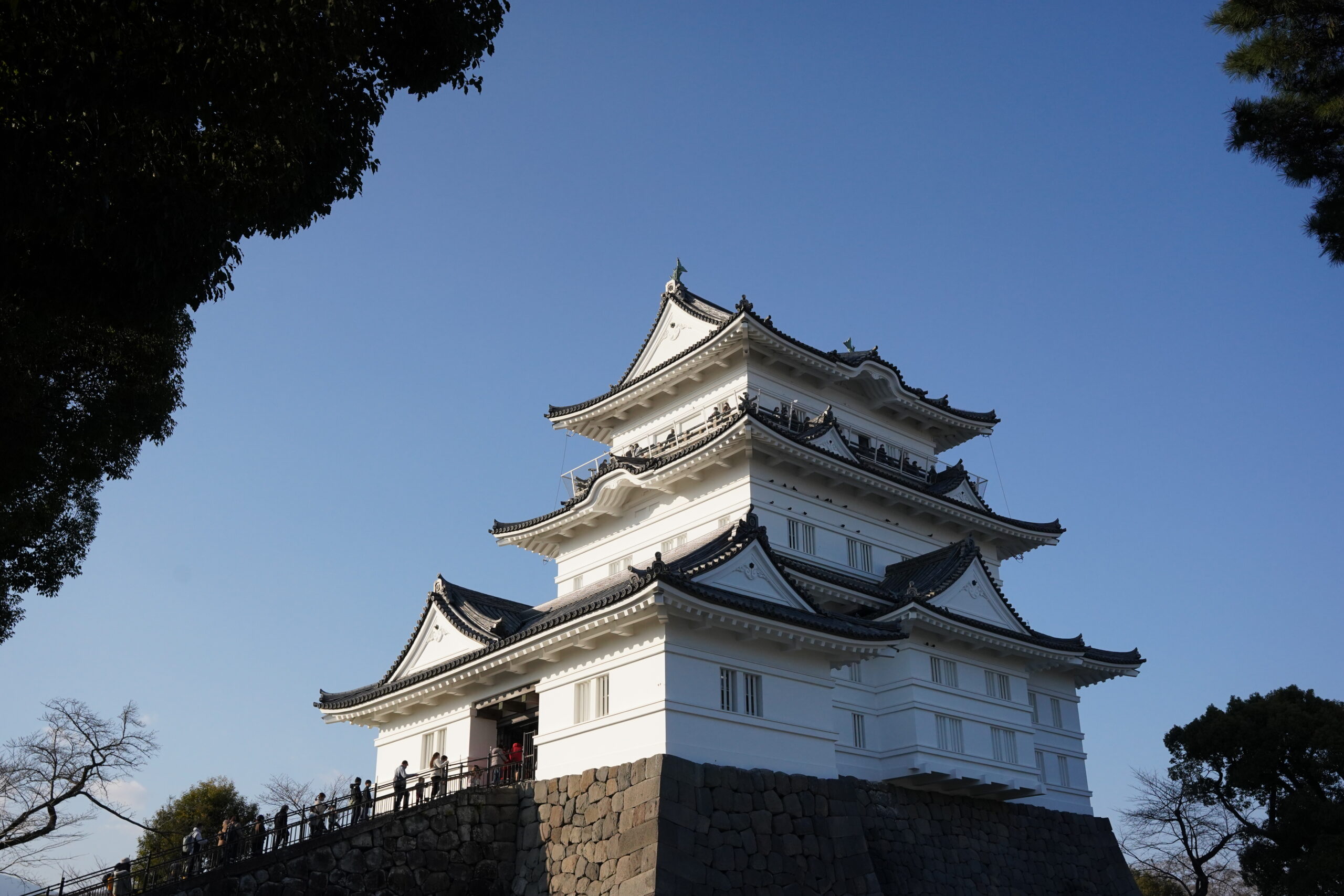 グループホーム　ぽぽ箱根板橋