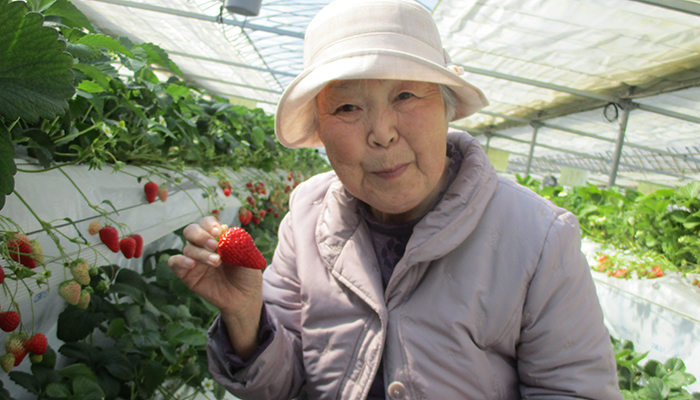 介護よろずや　梅の家