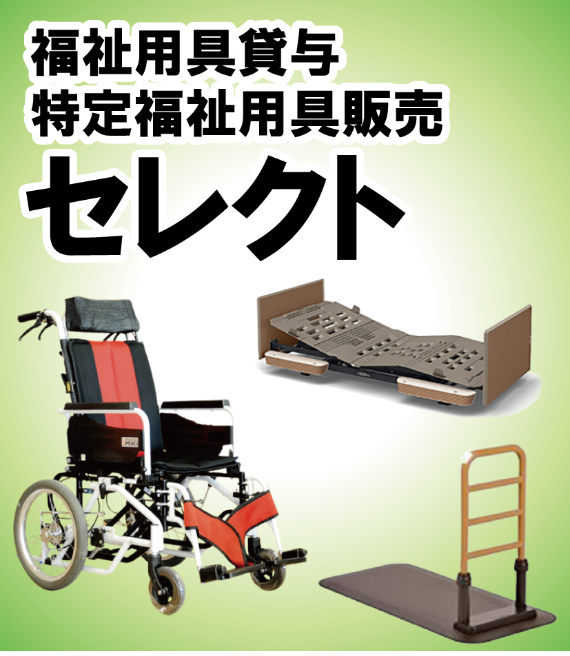 向日葵のひざし岡崎