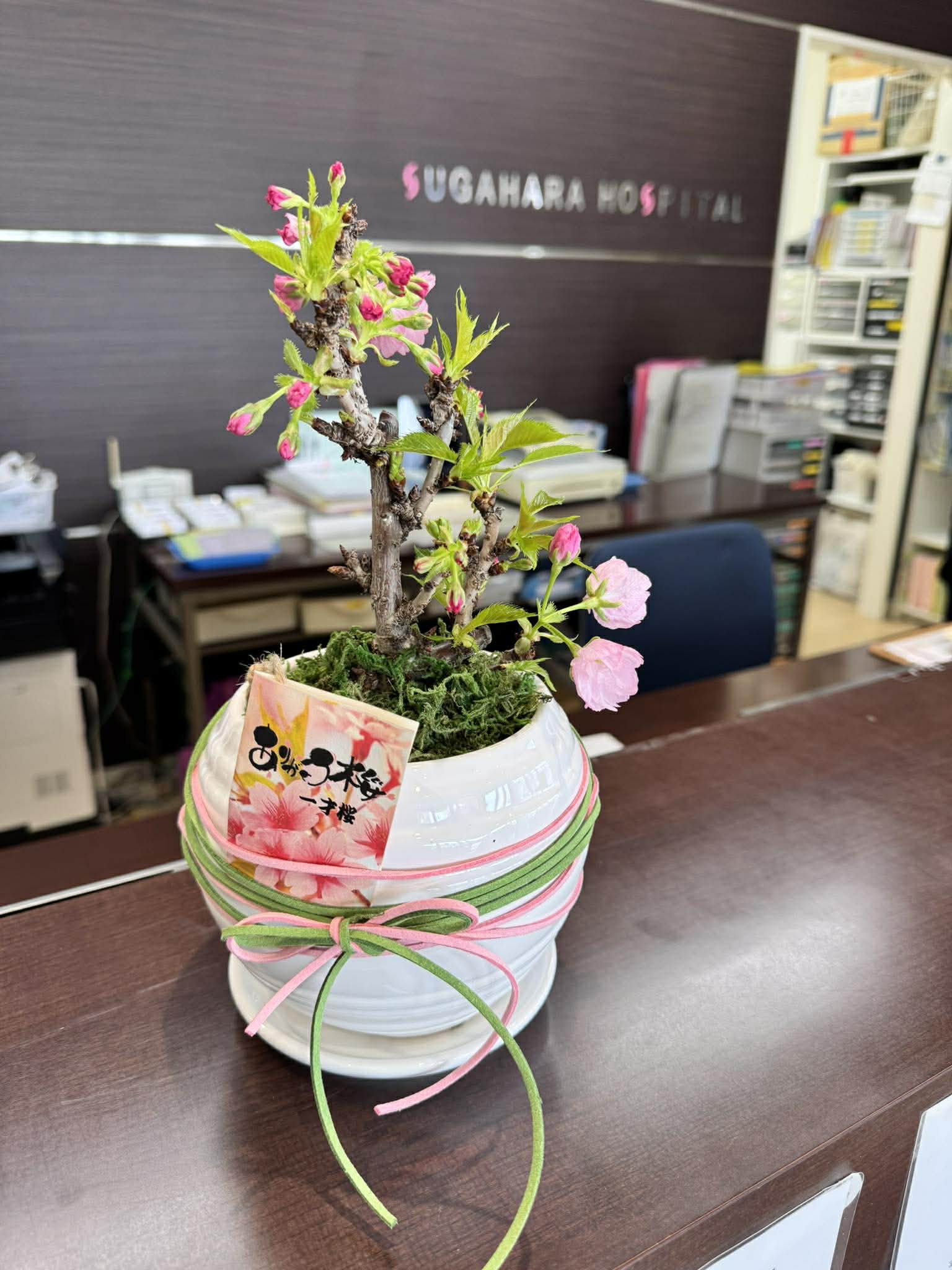 地域密着型特定施設　てとての森