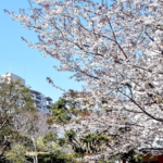 有料老人ホームラビドール御宿｜御宿町千葉県夷隅郡御宿町御宿台１３２番地の介護付き有料老人ホームの写真