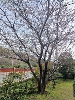 ねんりんはうす尾道