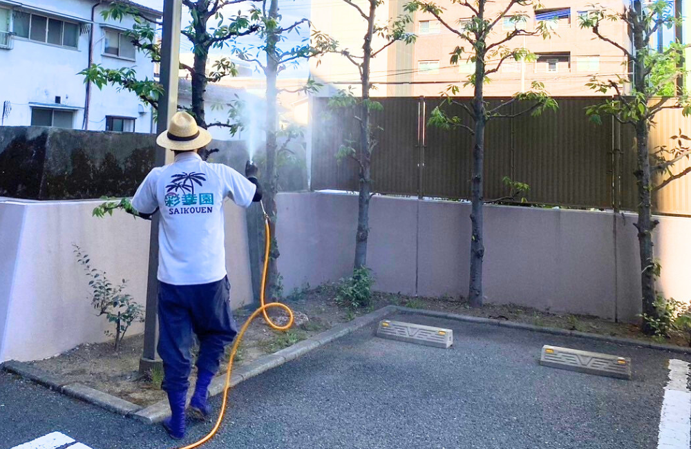 有料老人ホーム柴胡苑