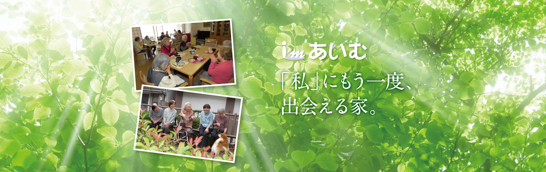 アライヴ株式会社　　グループホームあいむ