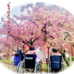 特別養護老人ホーム　ひまわりの郷｜大阪市都島区大阪市都島区都島本通4-10-19の介護付き有料老人ホームの写真