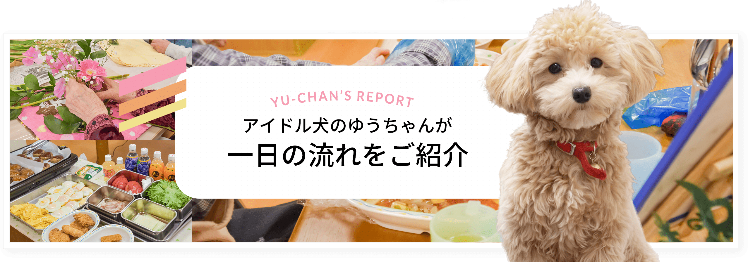 特別養護老人ホーム　こうのとり