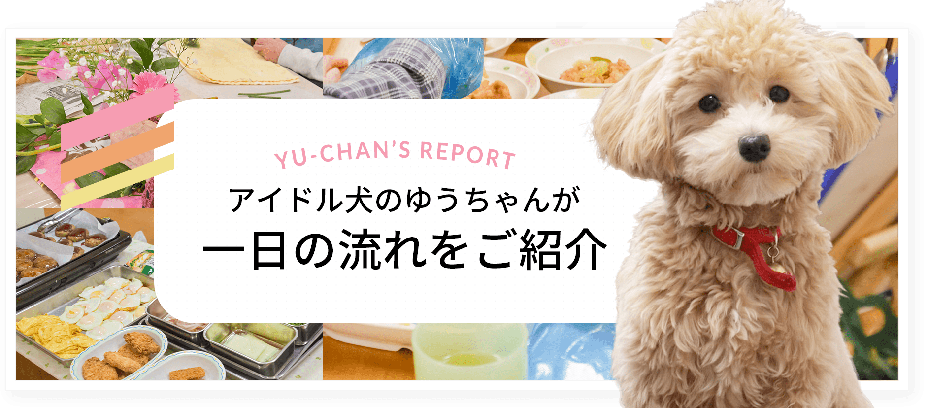 特別養護老人ホーム　こうのとり