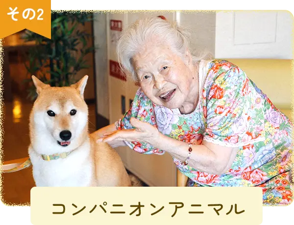 高齢者グループホームしらなみ
