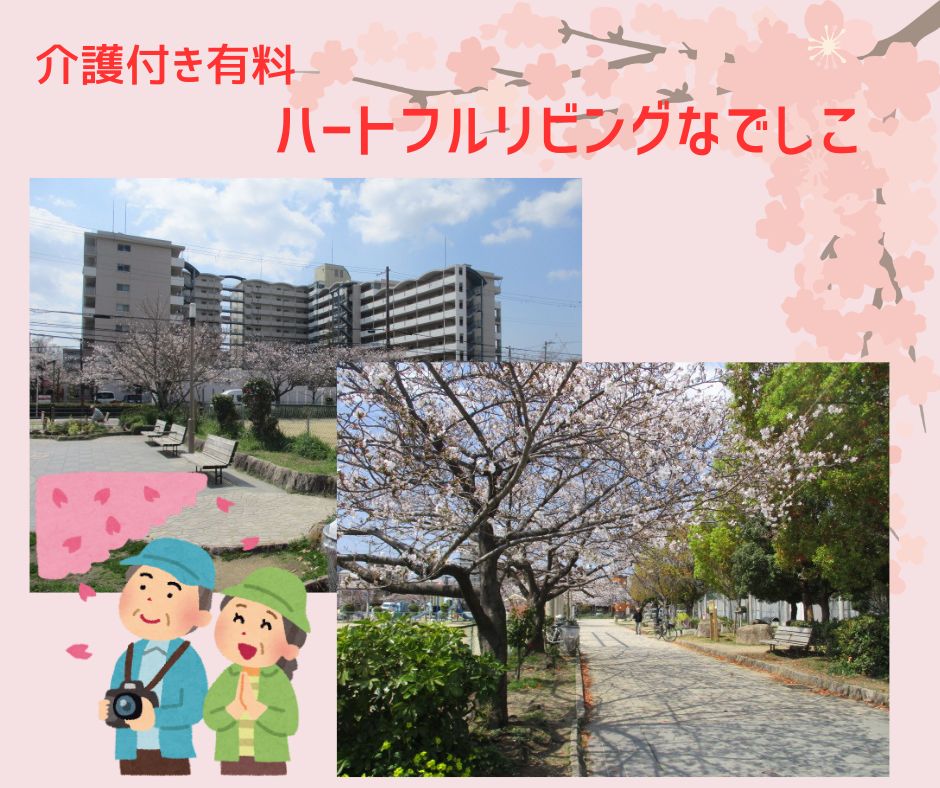 ハートフルリビングなでしこ桑津