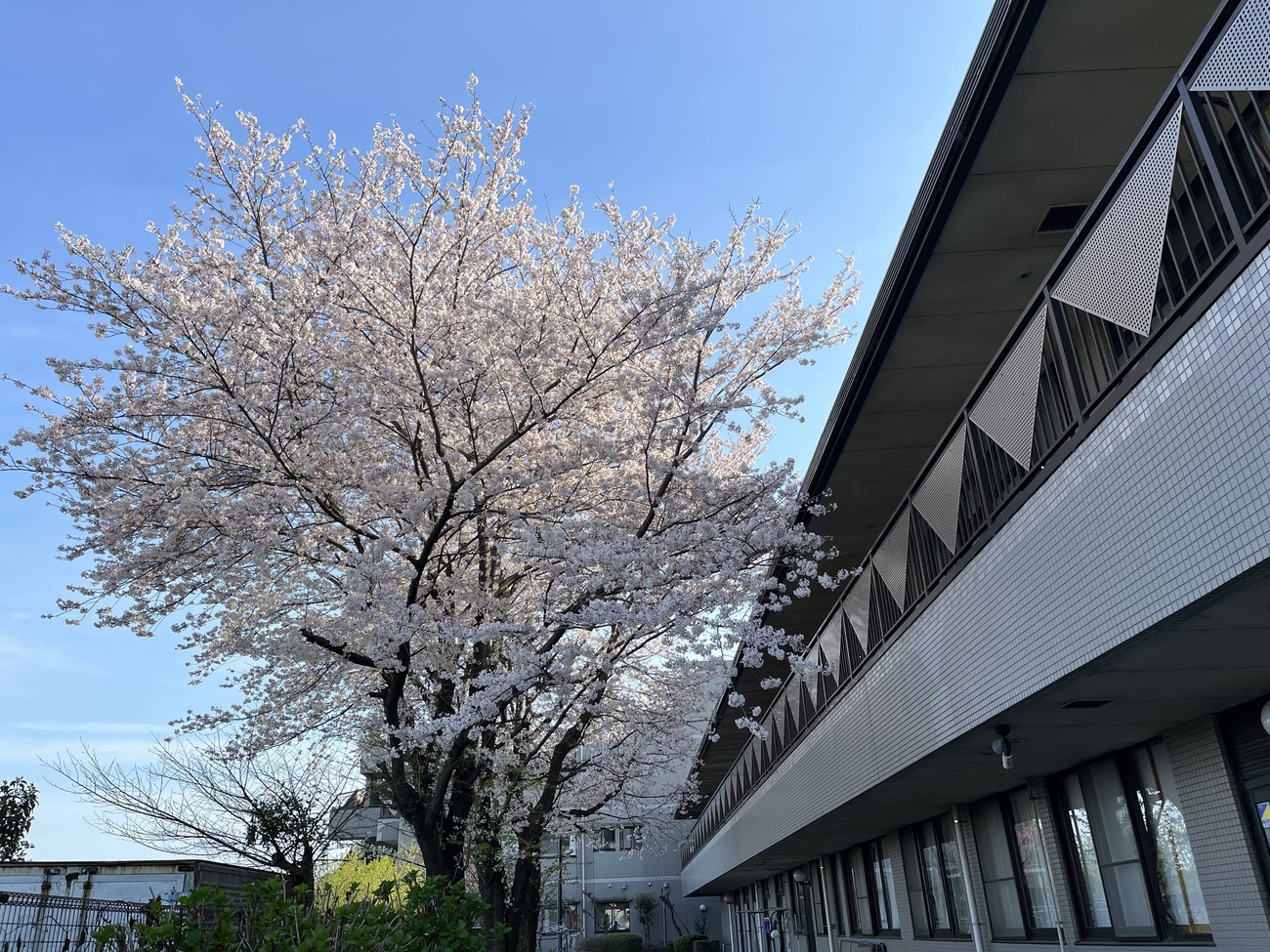 相陽台ホーム