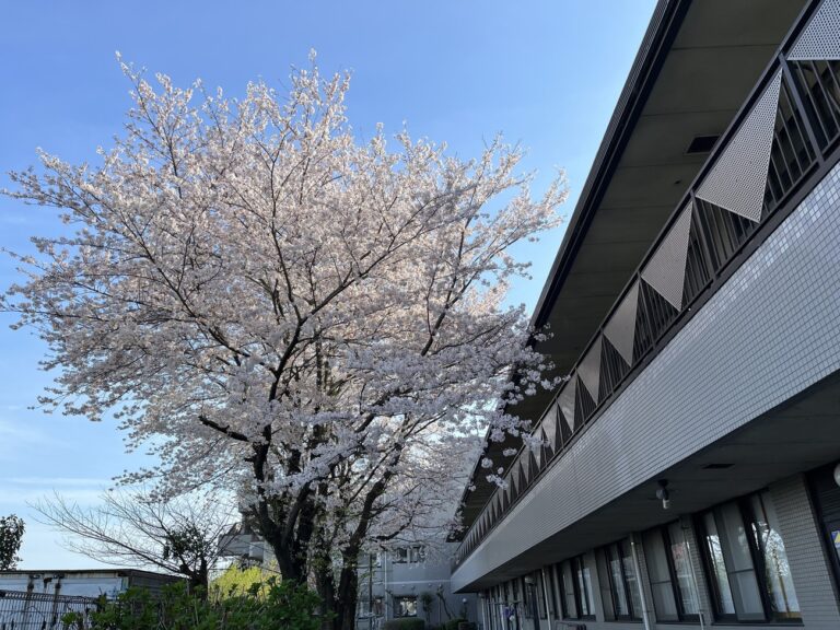 相陽台ホーム