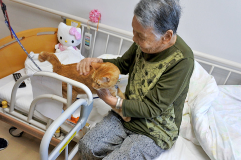介護老人福祉施設ブエナビスタ
