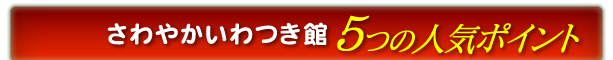 さわやかいわつき館