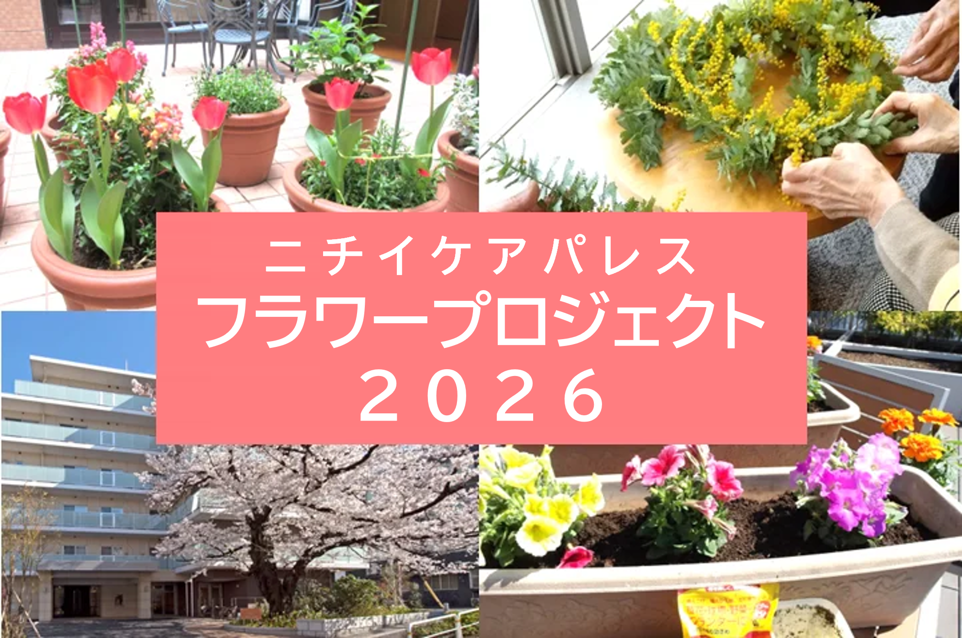 ニチイホーム東浦和