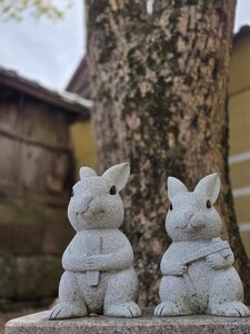 特別養護老人ホーム　美樹の園