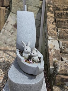 特別養護老人ホーム　美樹の園