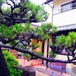 グループホーム　華表｜堺市北区大阪府堺市北区宮本町77-1の介護付き有料老人ホームの写真