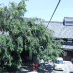 特別養護老人ホーム嘉齢荘｜堺市中区大阪府堺市中区伏尾１９６番地の介護付き有料老人ホームの写真