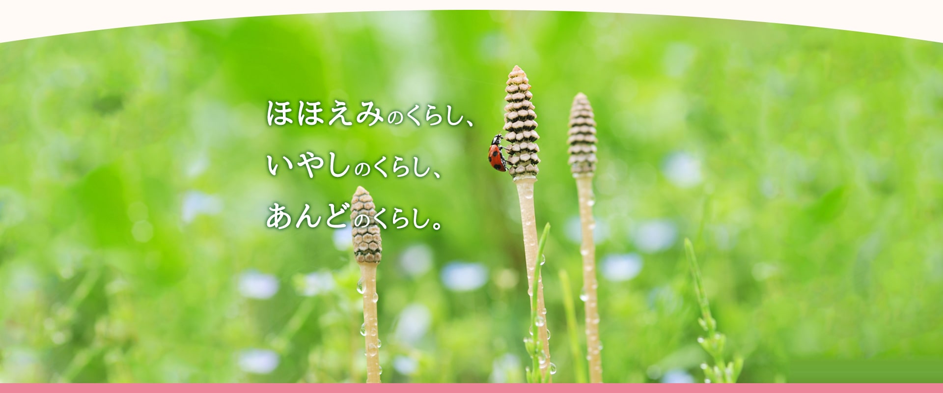 いやしのグループホームええじゃないか