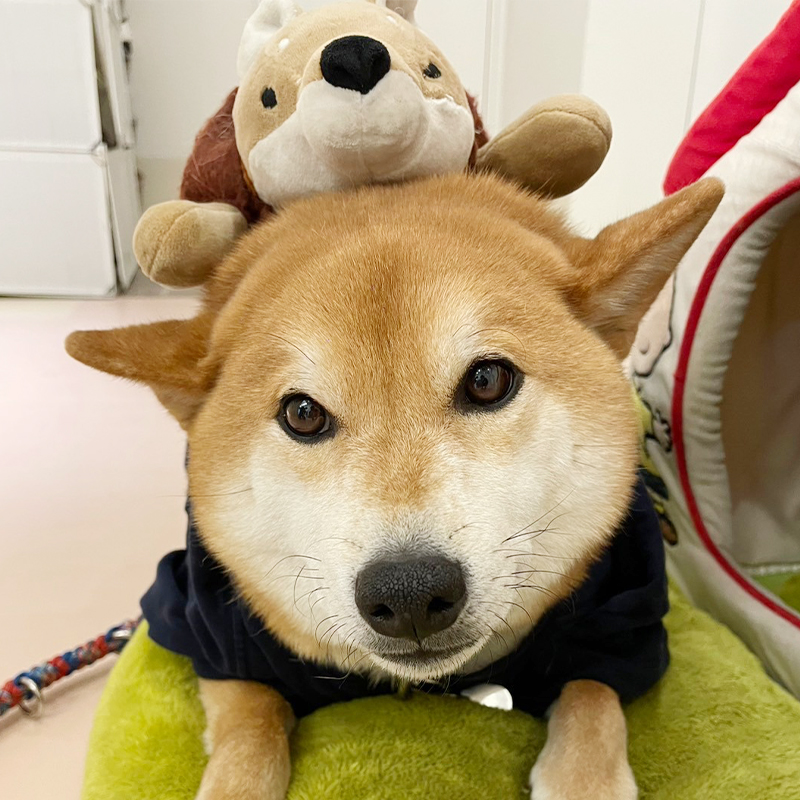 グループホーム北花田