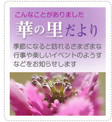 グループホーム華の里