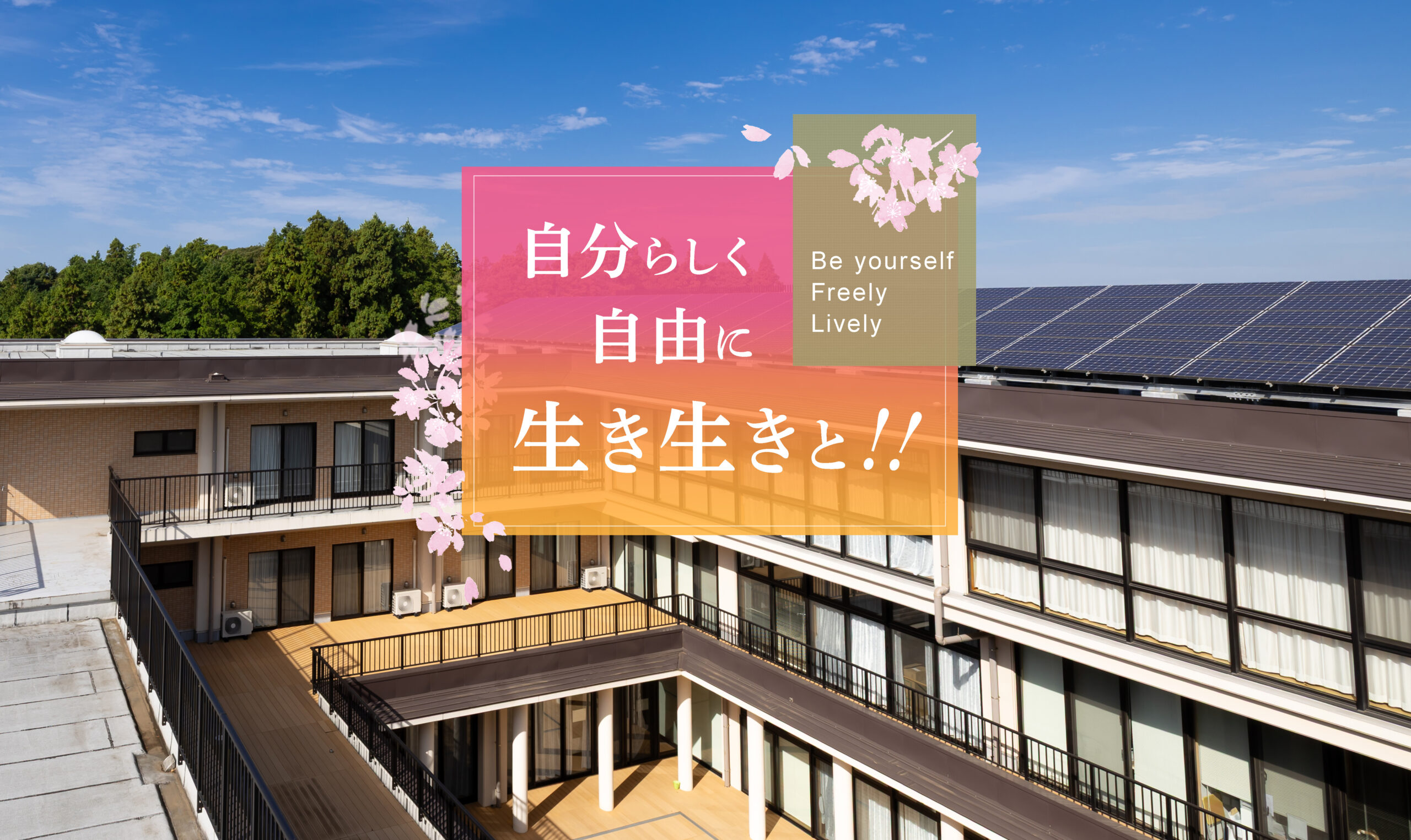 特別養護老人ホームさくらの丘