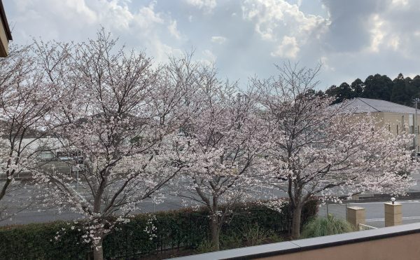 特別養護老人ホームときわの杜