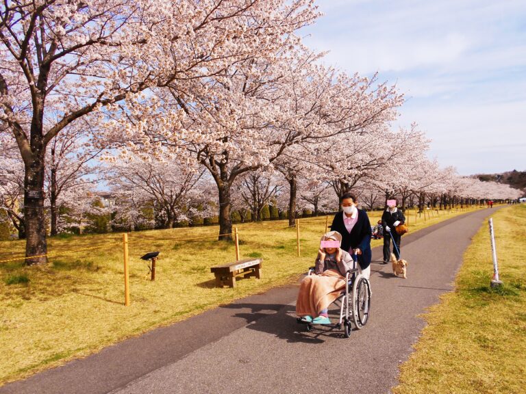 かいごつきゆうりょうろうじんほーむさくらのさと