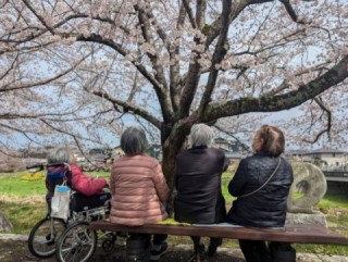 花水木岩瀬館