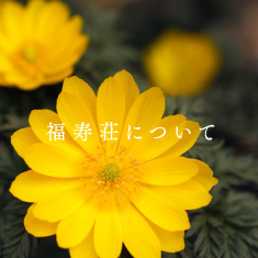 グループホーム福寿荘Ⅲ