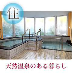 ルルドの泉