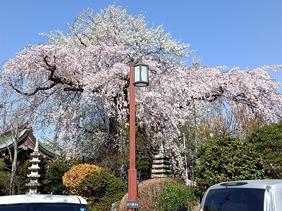 グループホーム花みず木