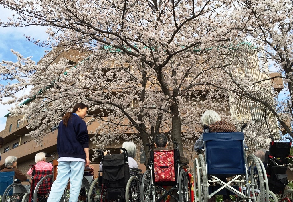 特別養護老人ホームせっつ桜苑